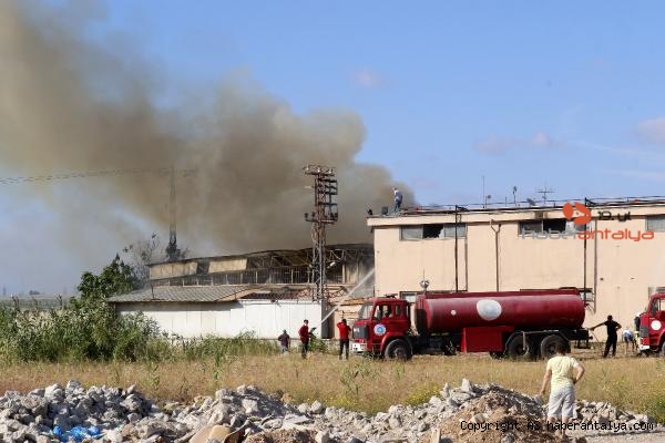 Antalya Da Korkutan Yangin Asayis Antalya Nin Ilk Ve Tek Haber Portali