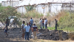 Antalya'da tarlada yangın çıktı 