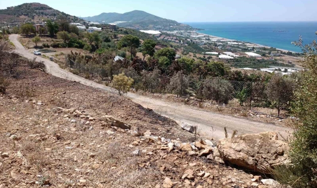 Alanya'da avokado bahçesi yandı; 9 dönüm alan zarar gördü