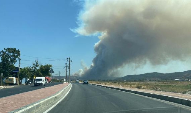 Çanakkale'de orman yangını 