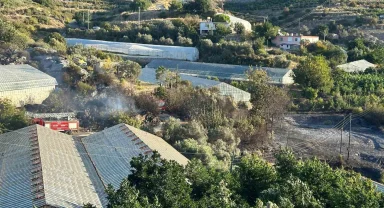 Alanya'da avokado bahçesinde yangın: 60 ağaç kül oldu