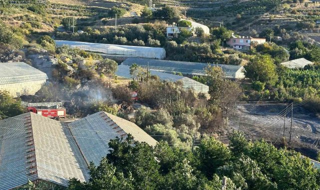 Alanya'da avokado bahçesinde yangın: 60 ağaç kül oldu