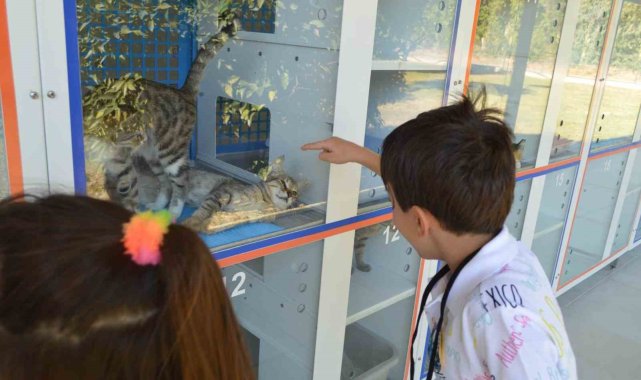 Konyaaltı Belediyesi, miniklere hayvan sevgisi aşılıyor