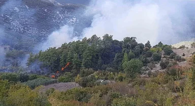 Kumluca'da orman yangınında alevlerin sıçradığı ev kullanılamaz hale geldi