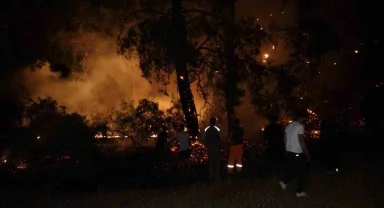 Manavgat'ta korkutan orman yangını büyümeden söndürüldü