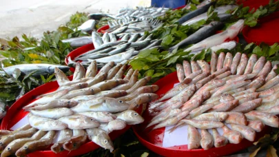 Hamsi avı dönemi başladı