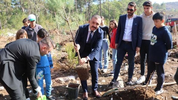 Kemer'de fidanlar yanan ormana dikildi