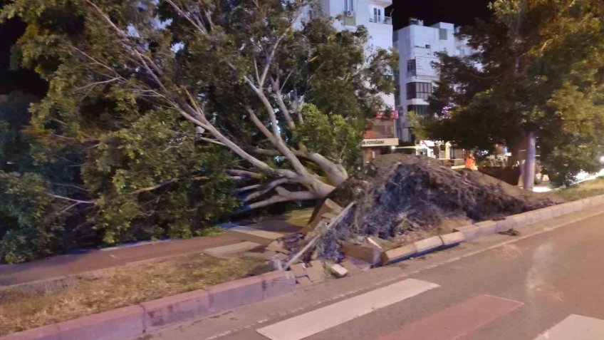 Antalya’da fırtına mesaisi