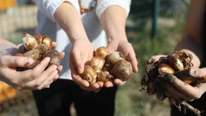 Büyükşehir Belediyesi’nden kadın girişimcilere l destek