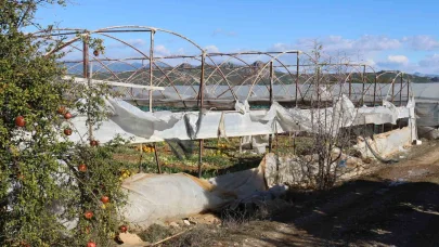 Fırtına ve hortum sonrası Antalya’da hasar tespiti sürüyor