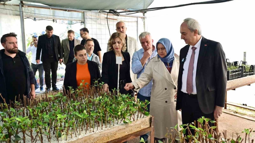 Kepez Belediyesi, ilçeyi kendi yetiştirdiği bitkilerle yeşillendiriyor