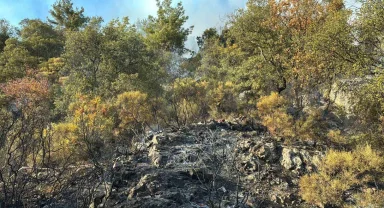 Kumluca'daki orman yangını kısmen kontrol alına alındı