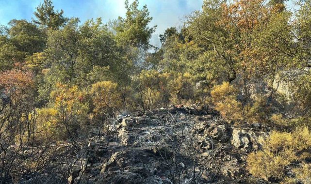 Kumluca'daki orman yangını kısmen kontrol alına alındı