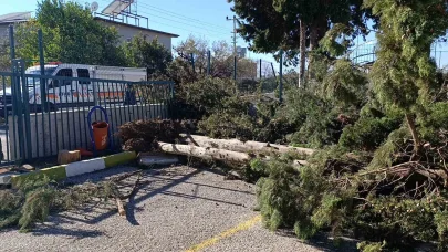 Manavgat’da şiddetli fırtına ve rüzgar ağaçları yıktı, okula zarar verdi