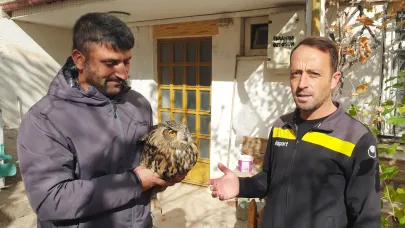 Nesli tehlikedeki puhu kuşunun ölümü mahalleliyi üzdü