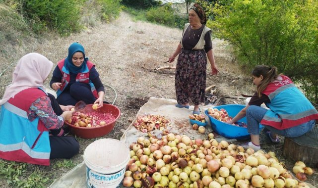 Vefa Sosyal Destek Grubu'ndan 1 ayda 600 faaliyet