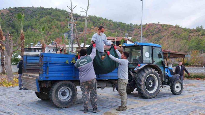 Kemer’de bahçe atıkları toplama programı başladı