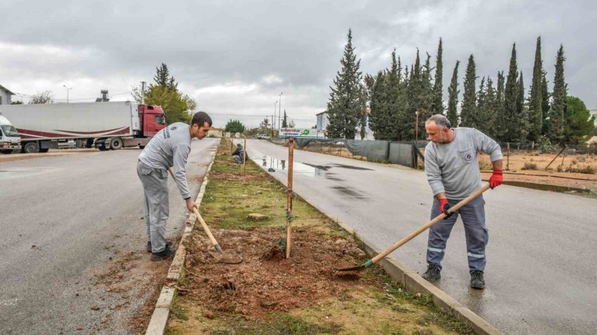 Kepez tarihi mirasıyla yeşilleniyor