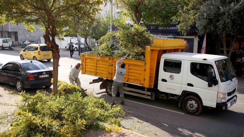 Kepez’de ağaçları kış ve bahar mevsimine hazırlanıyor