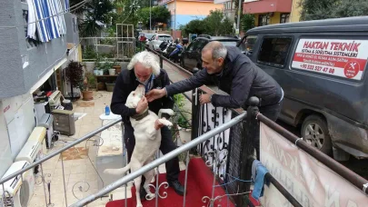 Komşuların rahatsız olduğu köpek için sahibi pankartl açtı