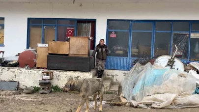 Çaresiz kadın: "Belediyeye, kaymakama ve muhtarlığa gittim, huzurevine gitmemi teklif ettiler"