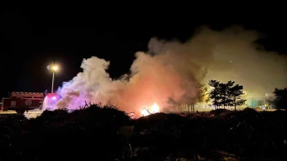 Sahildeki atık yangını işletmeyi dumana boğdu