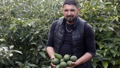 Deneme amacıyla dikildi, yılda 21 bin ton ürün alınıyor