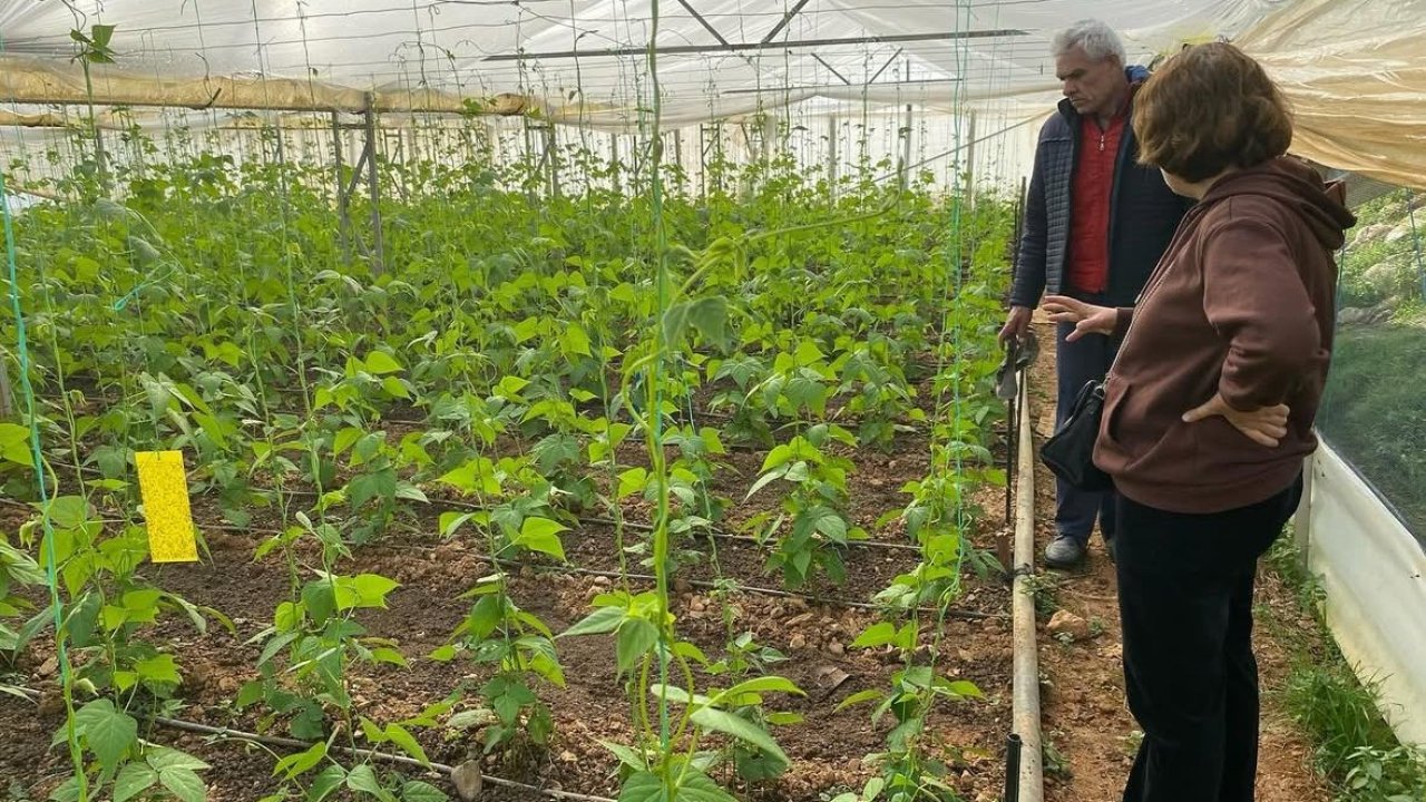 Antalya'da üreticilere bitki sağlığı eğitimi verildi