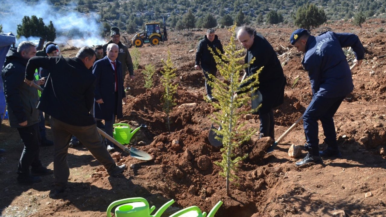 Korkuteli'de fidanlar toprakla buluştu