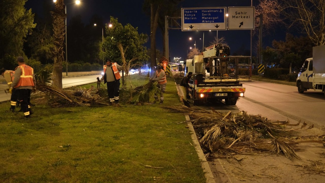 Antalya Büyükşehir'den gece budama çalışması