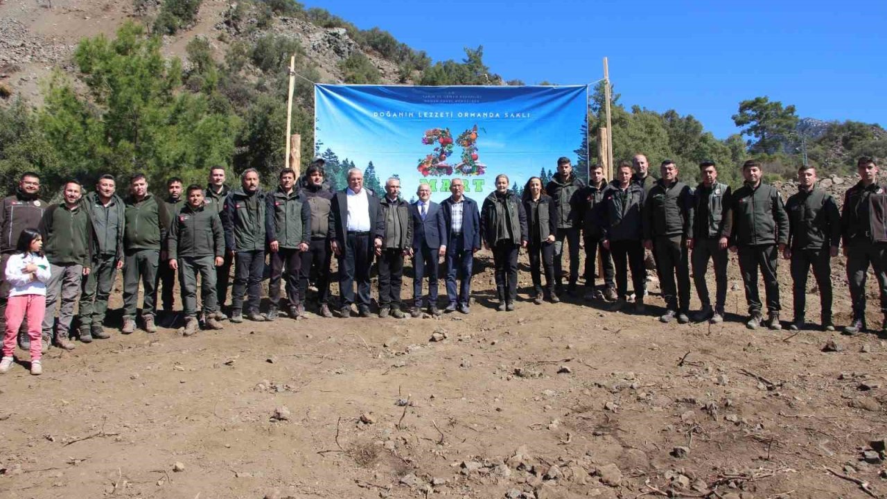 Antalya’da 700 fidan toprakla buluştu