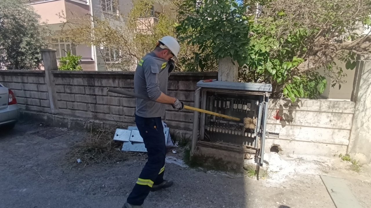 Elektrik baksına giren kedi akıma kapılarak  telef oldu